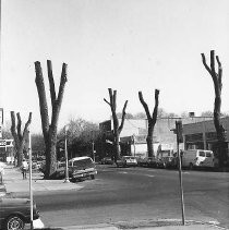 Street Scene