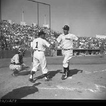 Negative, Safety, Unknown