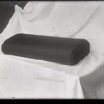 Negative, Glass Plate