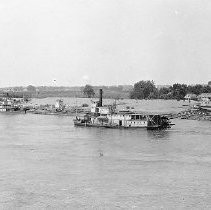 Sacramento River Scene