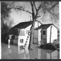 House during 1955 flood