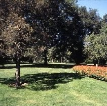 View of Capitol Park