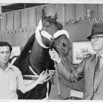 Edward R. King (in hat), retired admiral, National President of the Tennessee Walking Horse Association, with trainer Wink Groover and Groover's horse