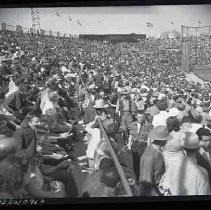 Negative, Safety, Unknown