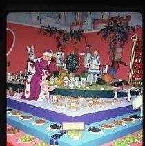 Solano county exhibit