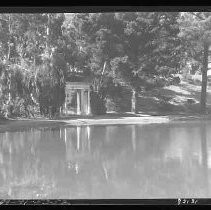 Golden Gate Park (?)