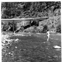 American River near Auburn