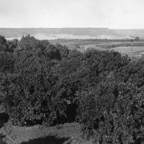 Print, Photographic, Black and White