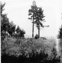 Believed to be Lake Tahoe