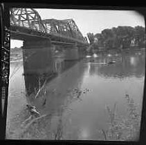 Negative, Safety, Unknown