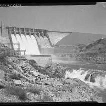 Negative, Safety, Unknown