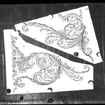 Negative, Glass Plate