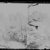 Negative, Glass Plate