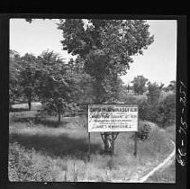 Sutter's landing site