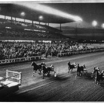 Harness racing at Cal Expo