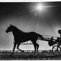 View of harness racing at Cal Expo