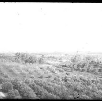 Views of homes and orchards in Fair Oaks