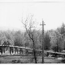 Negative, Glass Plate