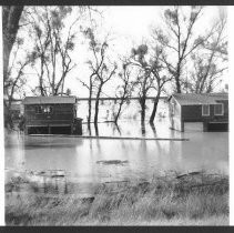 Flooded banks of Sacramento River