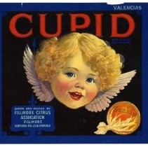 Cupid Brand