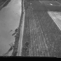 Negative, Safety, Unknown