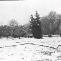 Snow in Capitol Park