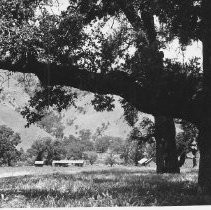 Fort Tejon