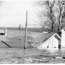 Floodwater Past Roof Line