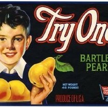 Try One Brand — Calisphere