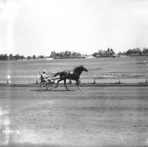 Harness Racer