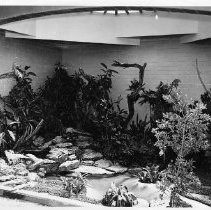 Landscaped Exhibit