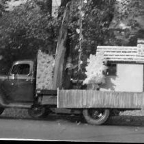 Costume and Pet Parade