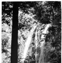 View of a water feature at Pfeiffer Big Sur State Park on the Monterey County coast