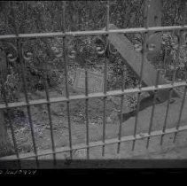 Negative, Safety, Unknown