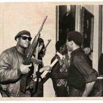 Black Panthers