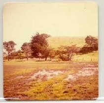 Photographs of landscape of Bolinas Bay