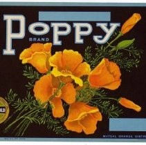 Poppy Brand