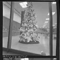 Negative, Safety, Unknown