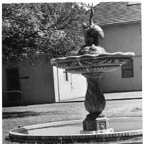 Caption: ". . .ducks roam in search of a drink, in search of a drink ignoring the now-dry fountain at the old State Fair grounds near the Stockton Blvd. entrance."