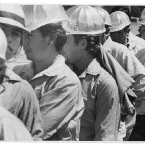 Forest Fires Waiting