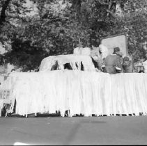 Costume and Pet Parade