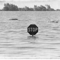 Stop Sign in Flood