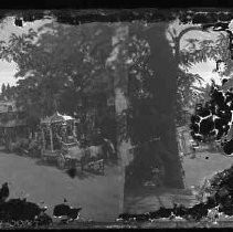 Negative, Glass Plate