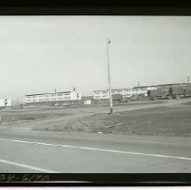 Negative, Safety, unknown