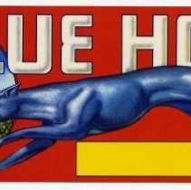 Blue Hound brand