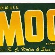 Moose Brand