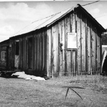 Print, Photographic, Black and White