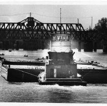 Trolling for Fish-The trollers are out in force for the start of the salmon season