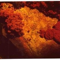 Photographs of landscape of Bolinas Bay. aerial