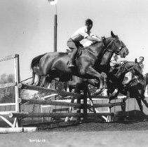 Horse Jumping